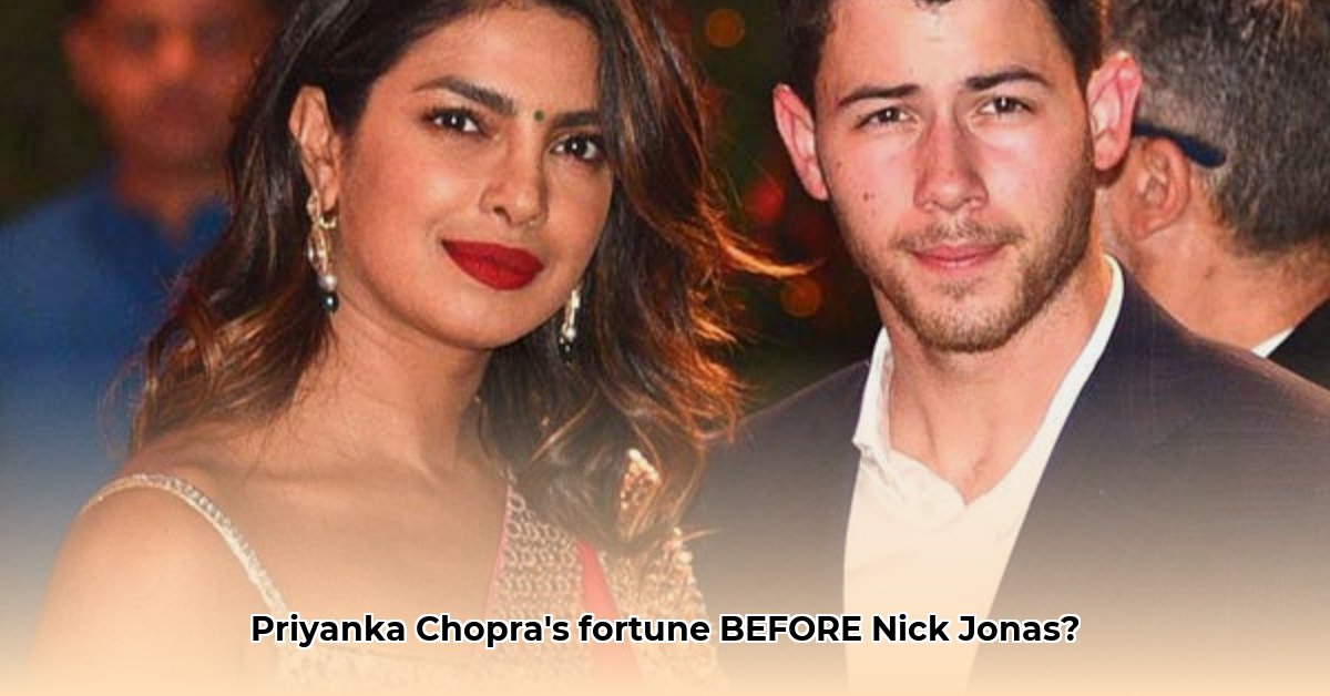 priyanka-chopra-net-worth-before-marriage